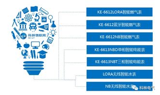 科林物聯網 以技術服務賦能智慧城市新生態